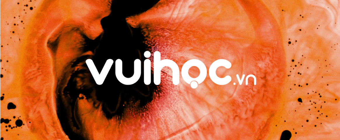 VUIHOC: Expanding Equitable Access to Quality Education in Vietnam