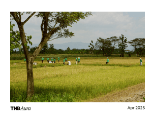 Eratani closes Series A to boost food security and rice production across Indonesia
