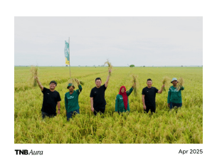 Indonesian agritech startup Eratani secures $6.2m Series A round