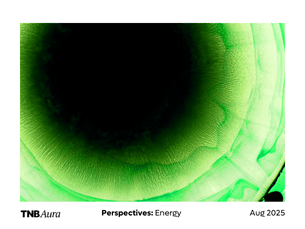 Perspectives: Energy