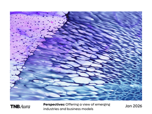 Perspectives: Insurtech